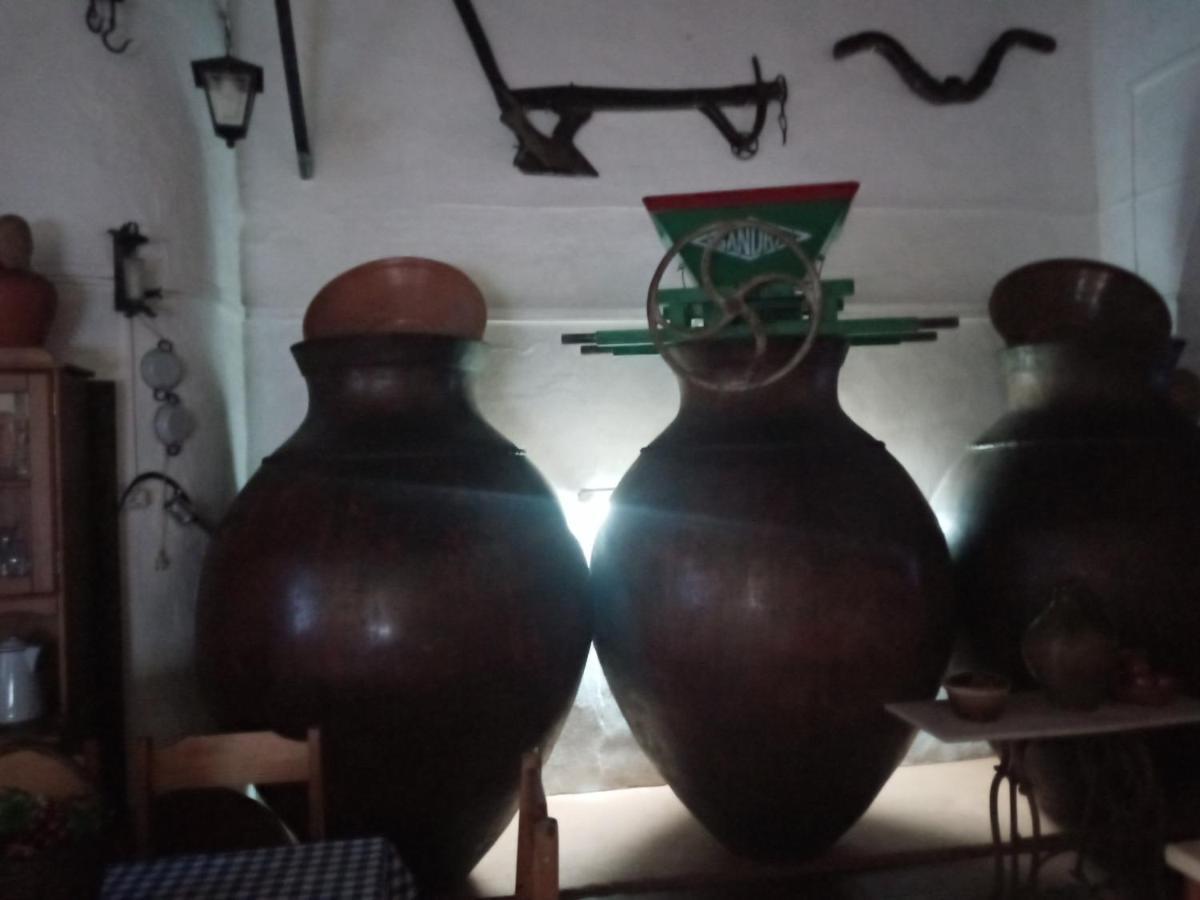 Vila Alva Alojamento Taberna A Talha 빌라 외부 사진