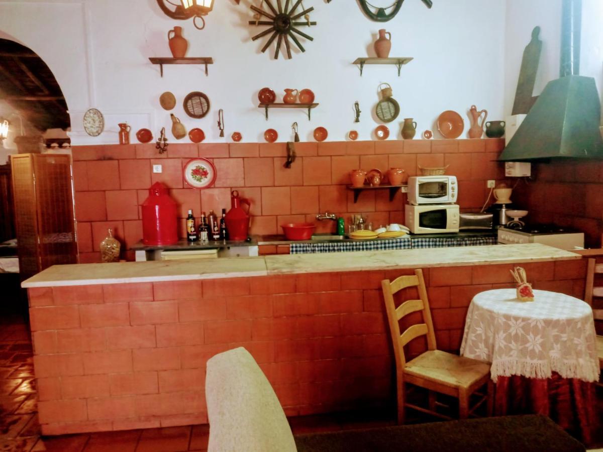 Vila Alva Alojamento Taberna A Talha 빌라 외부 사진