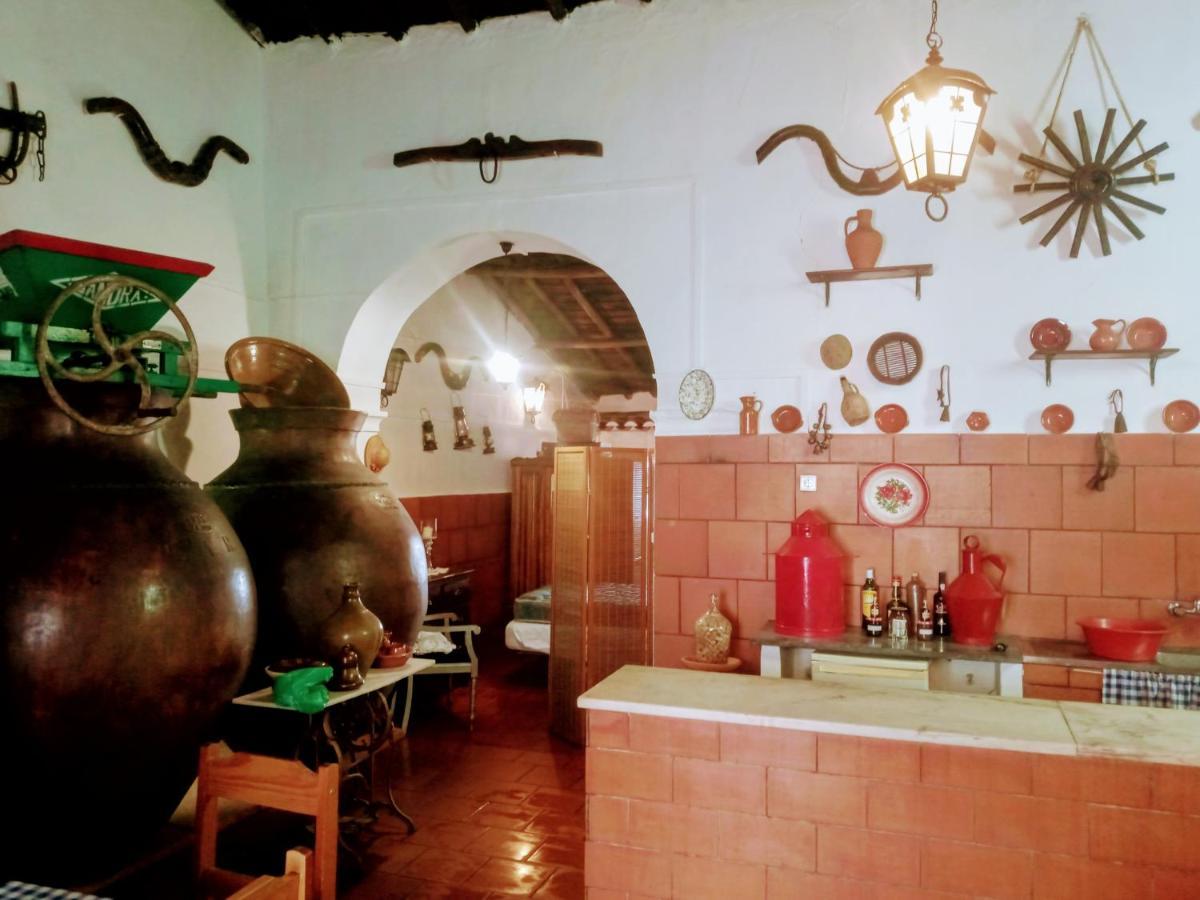 Vila Alva Alojamento Taberna A Talha 빌라 외부 사진